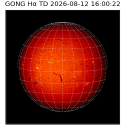 gong - 2026-08-12T16:00:22