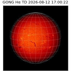 gong - 2026-08-12T17:00:22