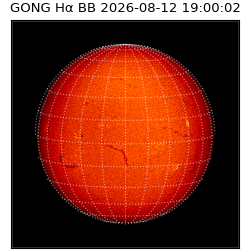 gong - 2026-08-12T19:00:02