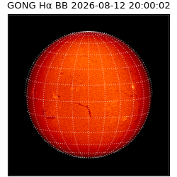 gong - 2026-08-12T20:00:02