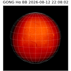 gong - 2026-08-12T22:08:02
