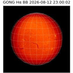 gong - 2026-08-12T23:00:02