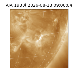 saia - 2026-08-13T09:00:04.842000