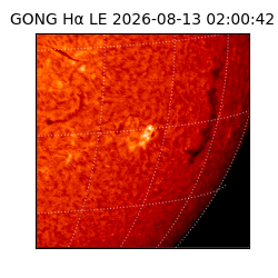gong - 2026-08-13T02:00:42