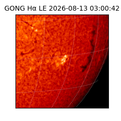 gong - 2026-08-13T03:00:42