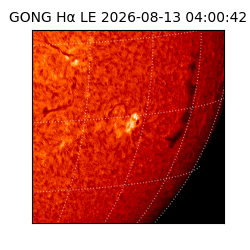 gong - 2026-08-13T04:00:42