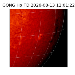 gong - 2026-08-13T12:01:22