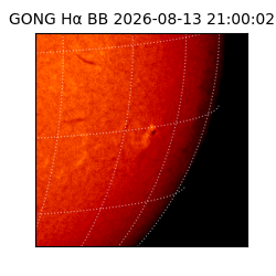 gong - 2026-08-13T21:00:02