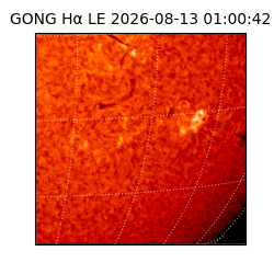 gong - 2026-08-13T01:00:42