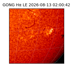 gong - 2026-08-13T02:00:42