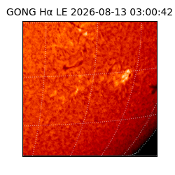 gong - 2026-08-13T03:00:42