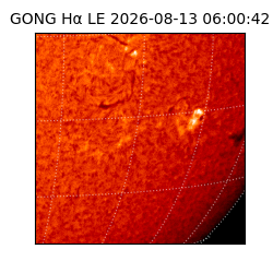 gong - 2026-08-13T06:00:42