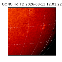 gong - 2026-08-13T12:01:22