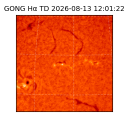 gong - 2026-08-13T12:01:22
