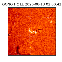 gong - 2026-08-13T02:00:42