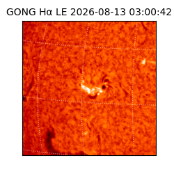 gong - 2026-08-13T03:00:42