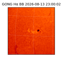 gong - 2026-08-13T23:00:02