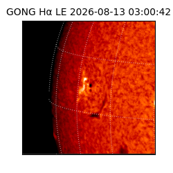 gong - 2026-08-13T03:00:42