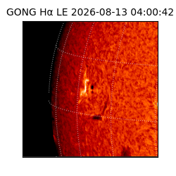 gong - 2026-08-13T04:00:42