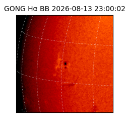 gong - 2026-08-13T23:00:02
