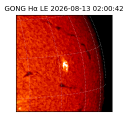 gong - 2026-08-13T02:00:42