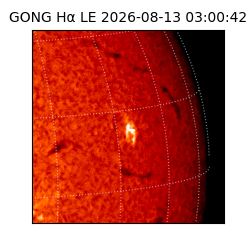 gong - 2026-08-13T03:00:42