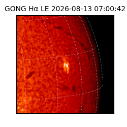 gong - 2026-08-13T07:00:42