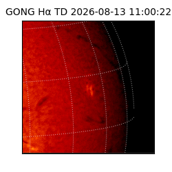 gong - 2026-08-13T11:00:22