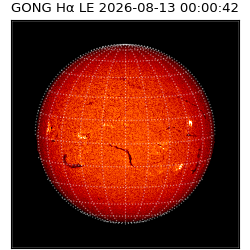 gong - 2026-08-13T00:00:42