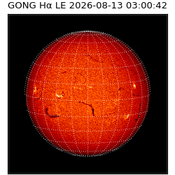 gong - 2026-08-13T03:00:42