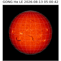 gong - 2026-08-13T05:00:42