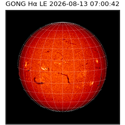 gong - 2026-08-13T07:00:42