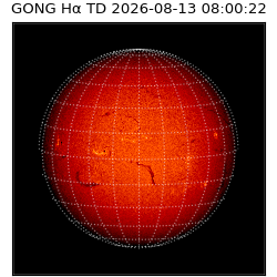 gong - 2026-08-13T08:00:22