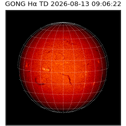 gong - 2026-08-13T09:06:22