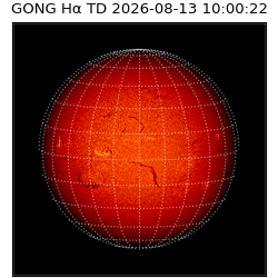 gong - 2026-08-13T10:00:22