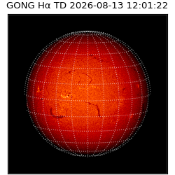 gong - 2026-08-13T12:01:22