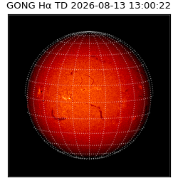 gong - 2026-08-13T13:00:22