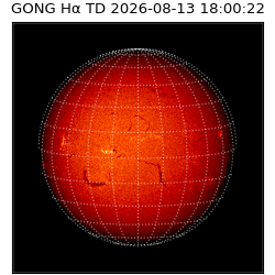 gong - 2026-08-13T18:00:22