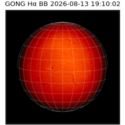 gong - 2026-08-13T19:10:02