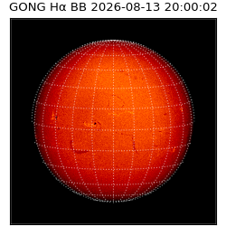 gong - 2026-08-13T20:00:02