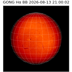 gong - 2026-08-13T21:00:02