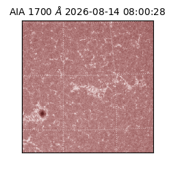 saia - 2026-08-14T08:00:28.717000