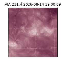 saia - 2026-08-14T19:00:09.624000