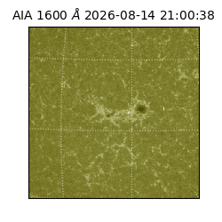 saia - 2026-08-14T21:00:38.123000
