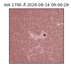 saia - 2026-08-14T09:00:28.717000
