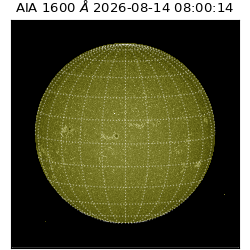 saia - 2026-08-14T08:00:14.124000