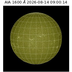 saia - 2026-08-14T09:00:14.122000