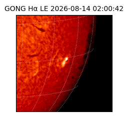 gong - 2026-08-14T02:00:42