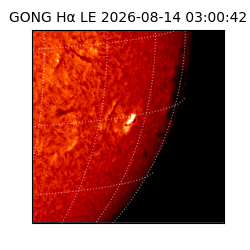 gong - 2026-08-14T03:00:42