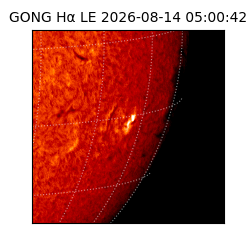 gong - 2026-08-14T05:00:42